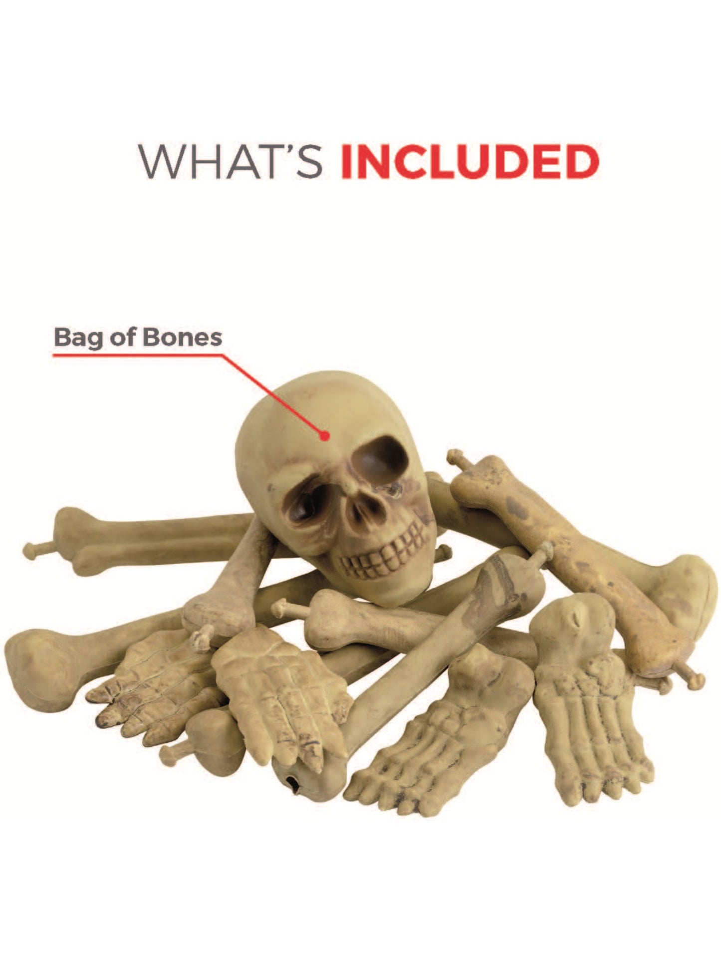 Bag of Bones & Skull, Natural Wholesale