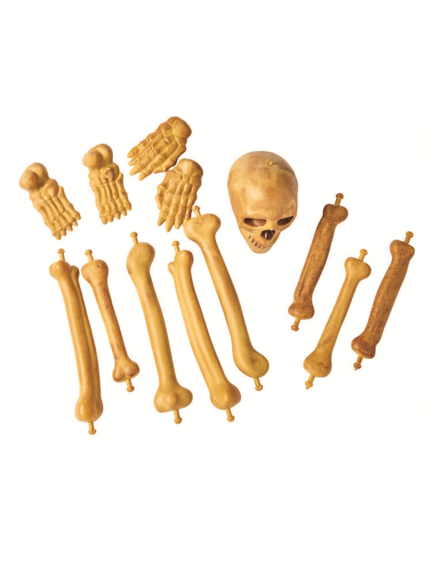 Bag of Bones & Skull, Natural Wholesale