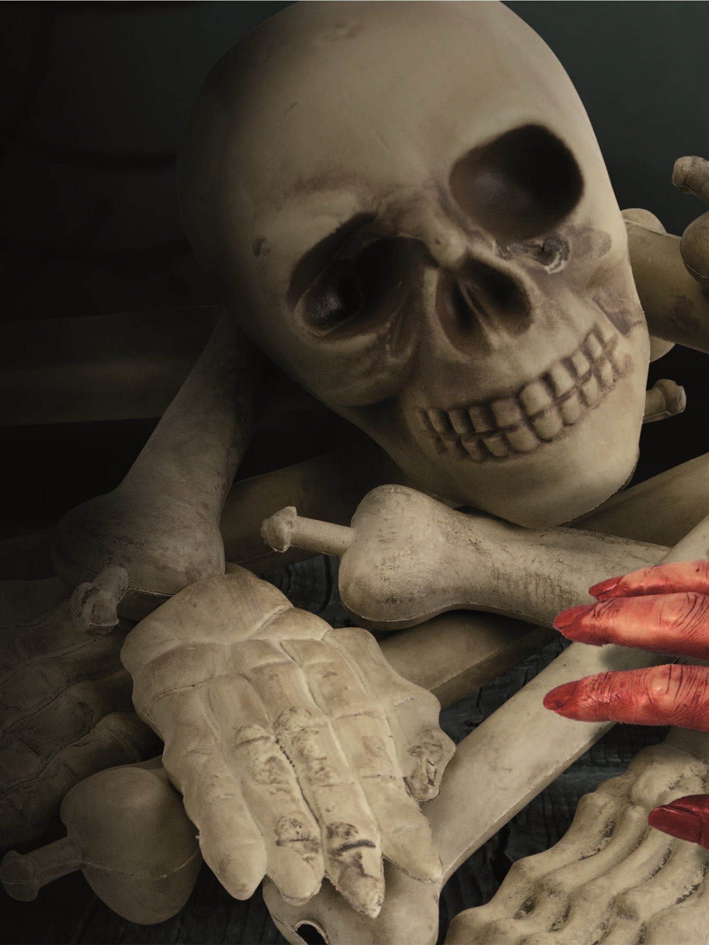 Bag of Bones & Skull, Natural Wholesale