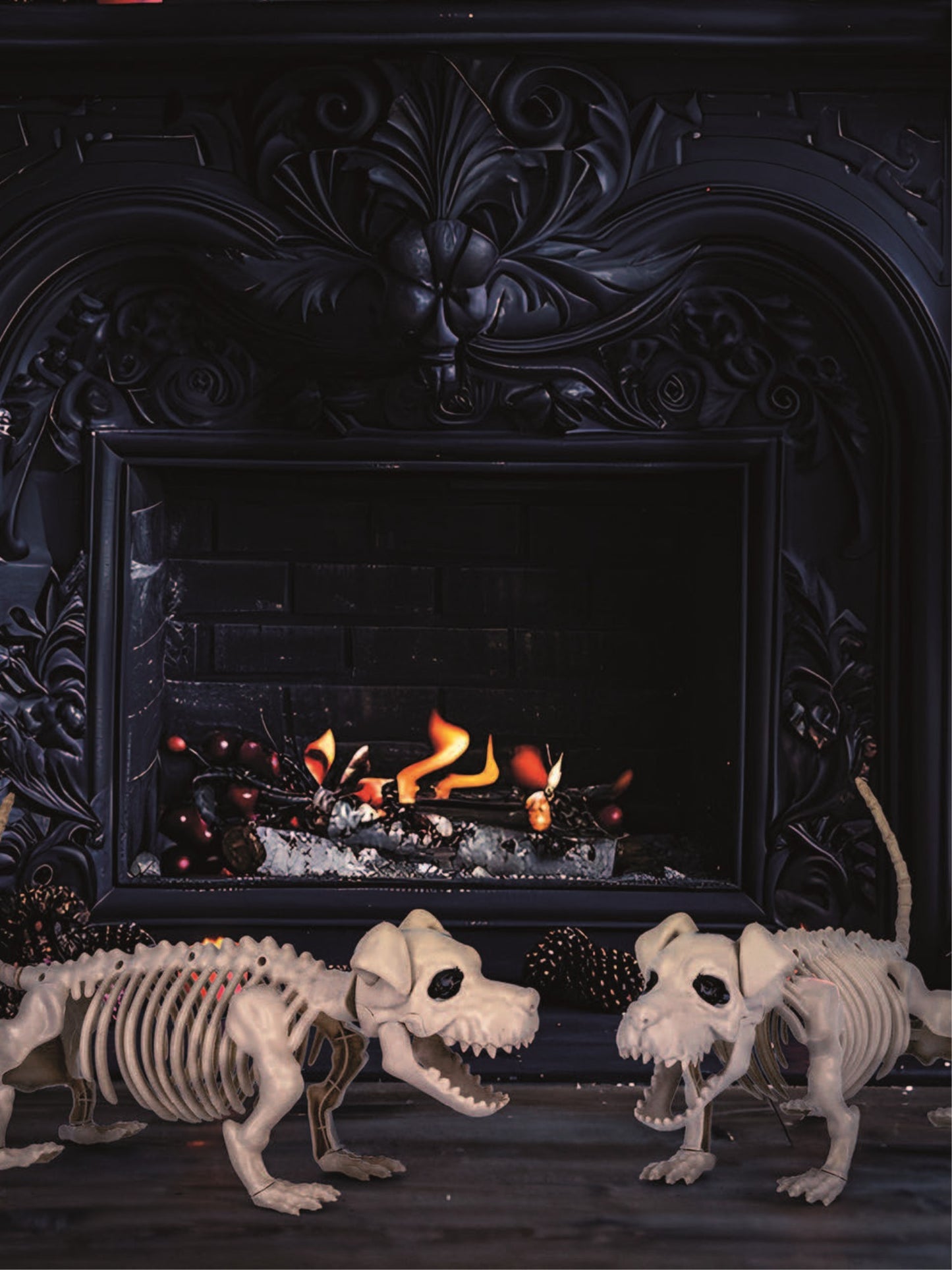 Dog Skeleton Prop, Natural Wholesale