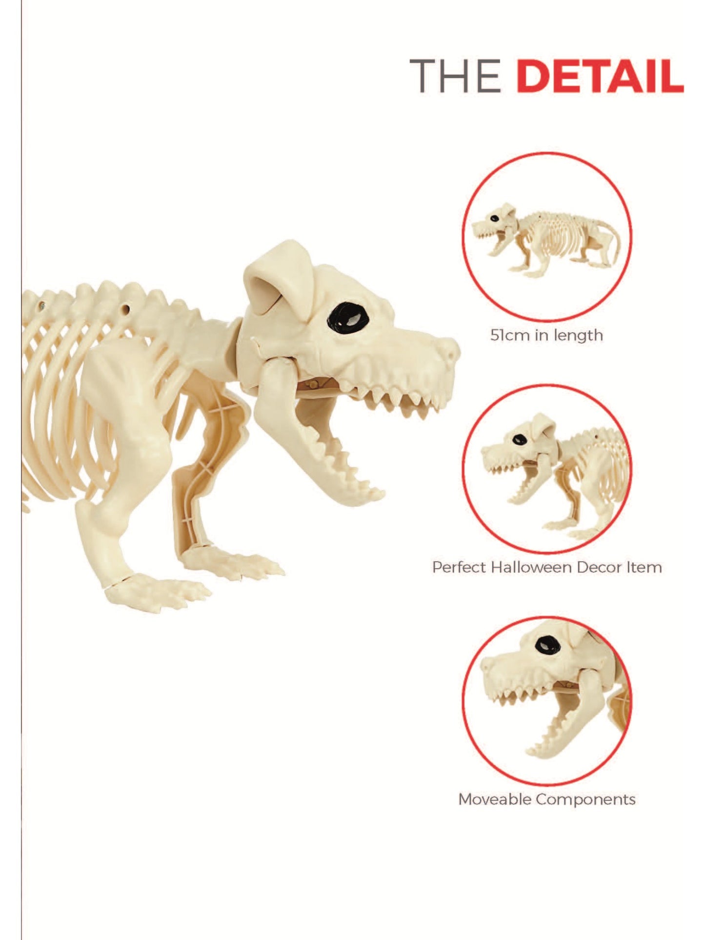 Dog Skeleton Prop, Natural Wholesale