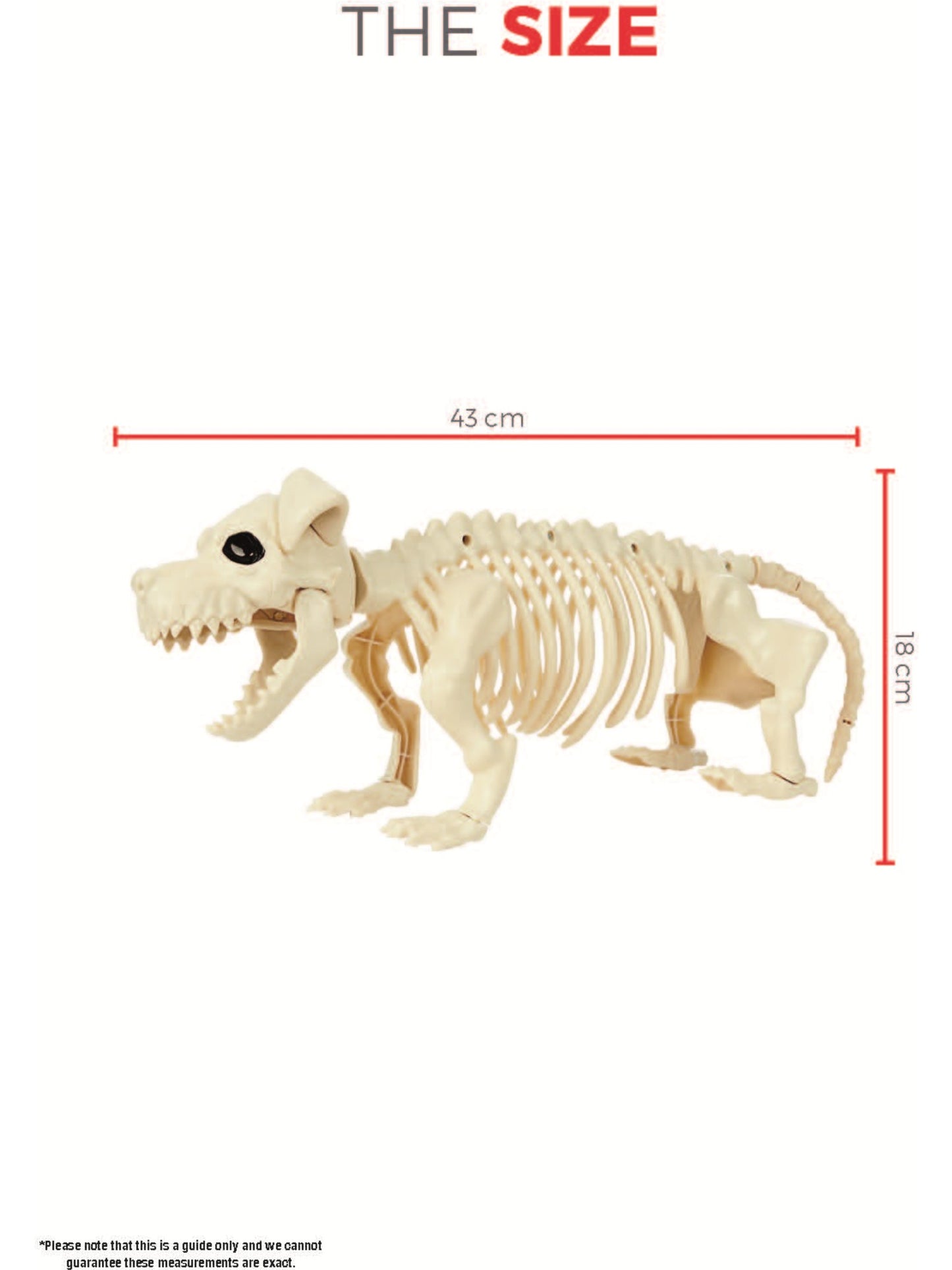 Dog Skeleton Prop, Natural Wholesale