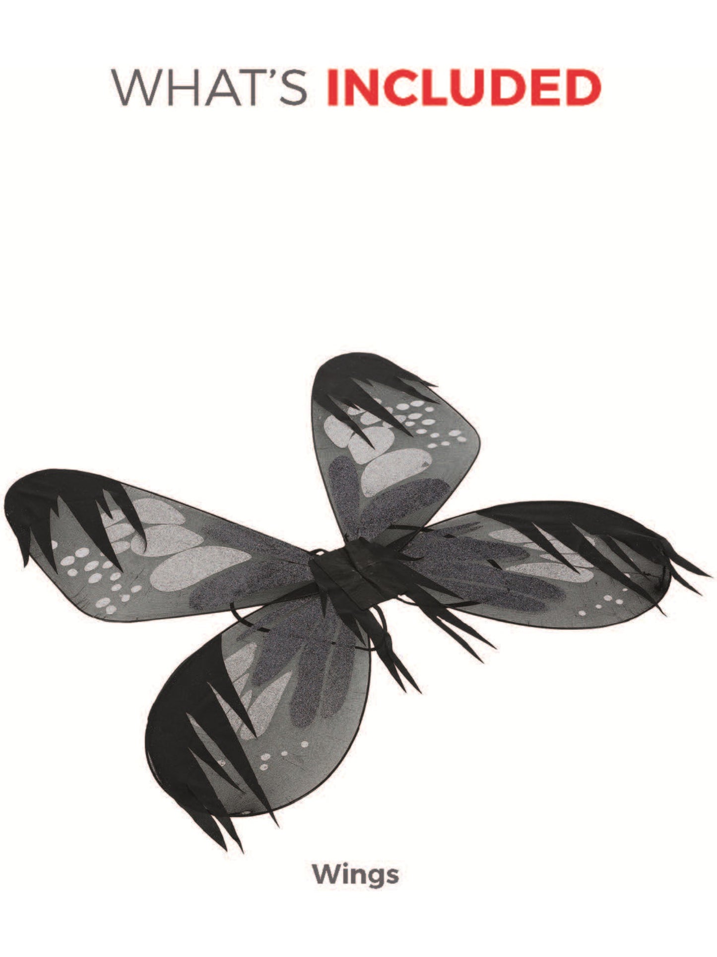 Dark Botanicals Moth Wings, Grey Wholesale
