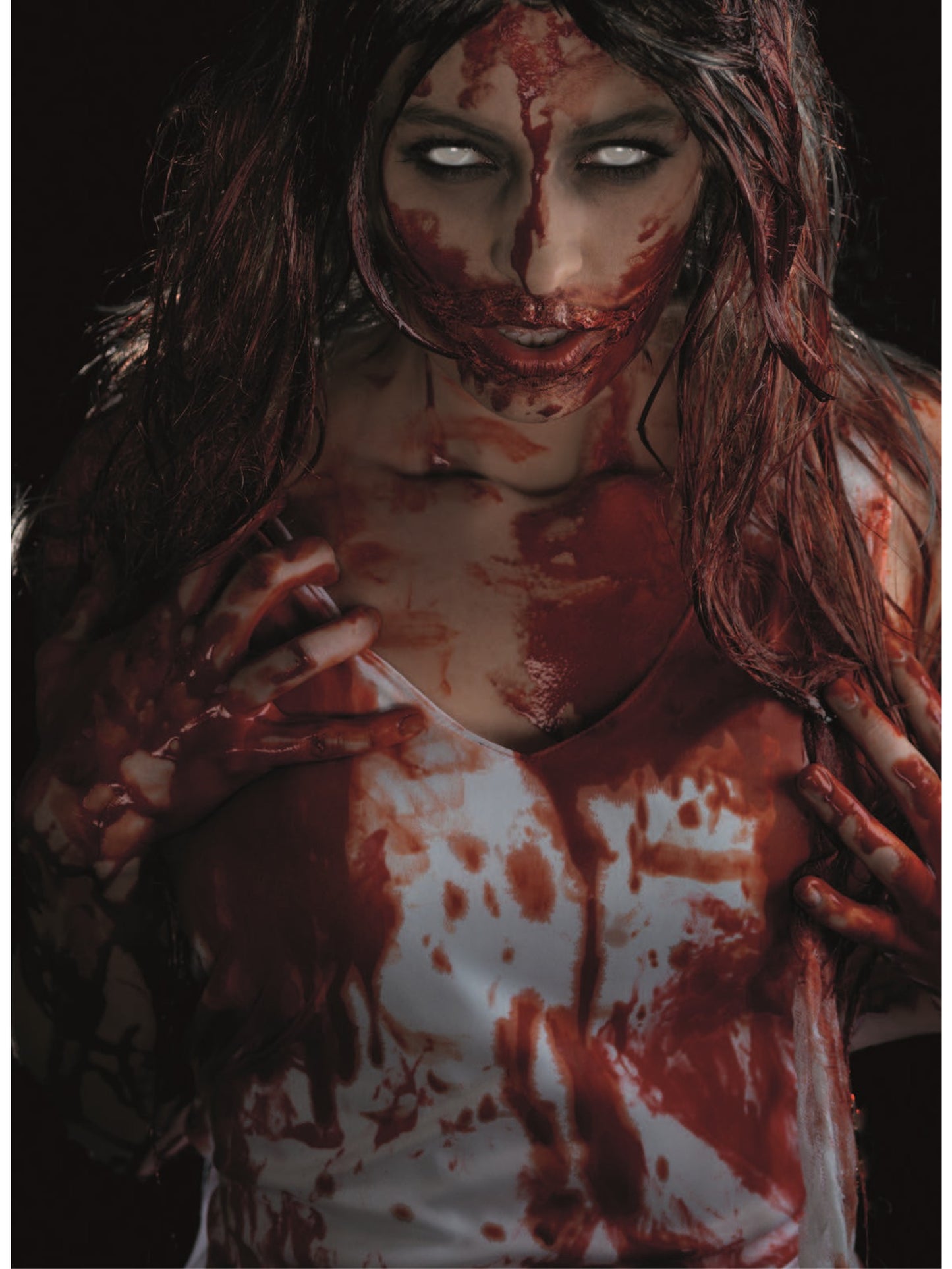 Smiffys FX, Clothing Fake Blood 2ltr Wholesale