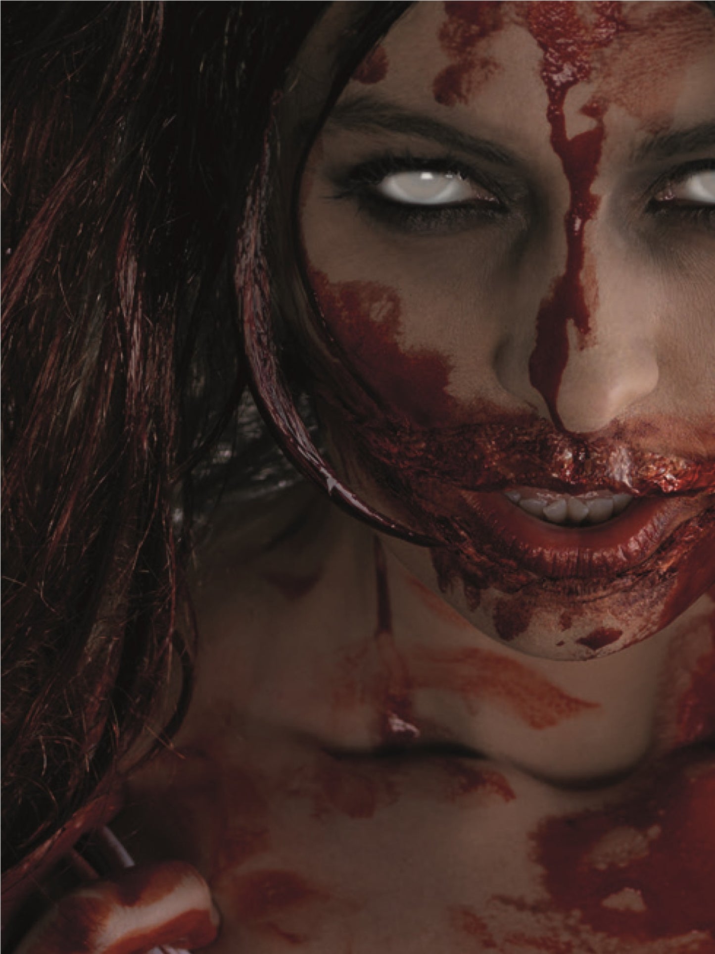 Smiffys FX, Clothing Fake Blood 2ltr Wholesale