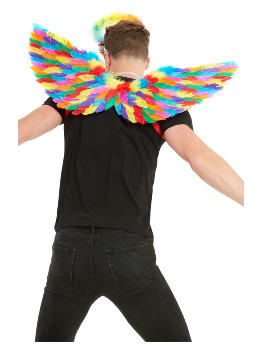 Rainbow Feather Wings Wholesale