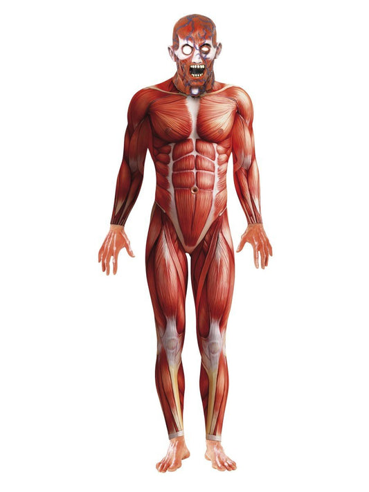 Anatomy Man Costume Wholesale