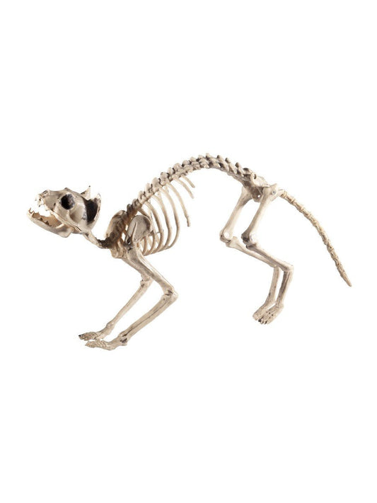 Cat Skeleton Prop Wholesale