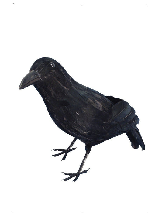 Crow Wholesale