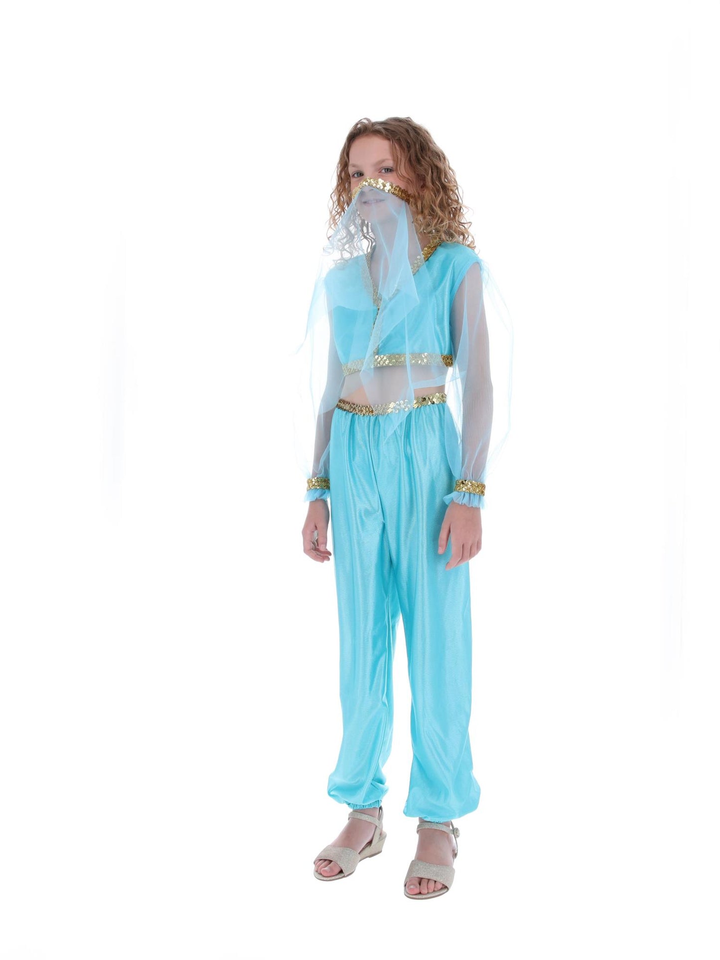 Arabian Princess Costume, Blue  Wholesale