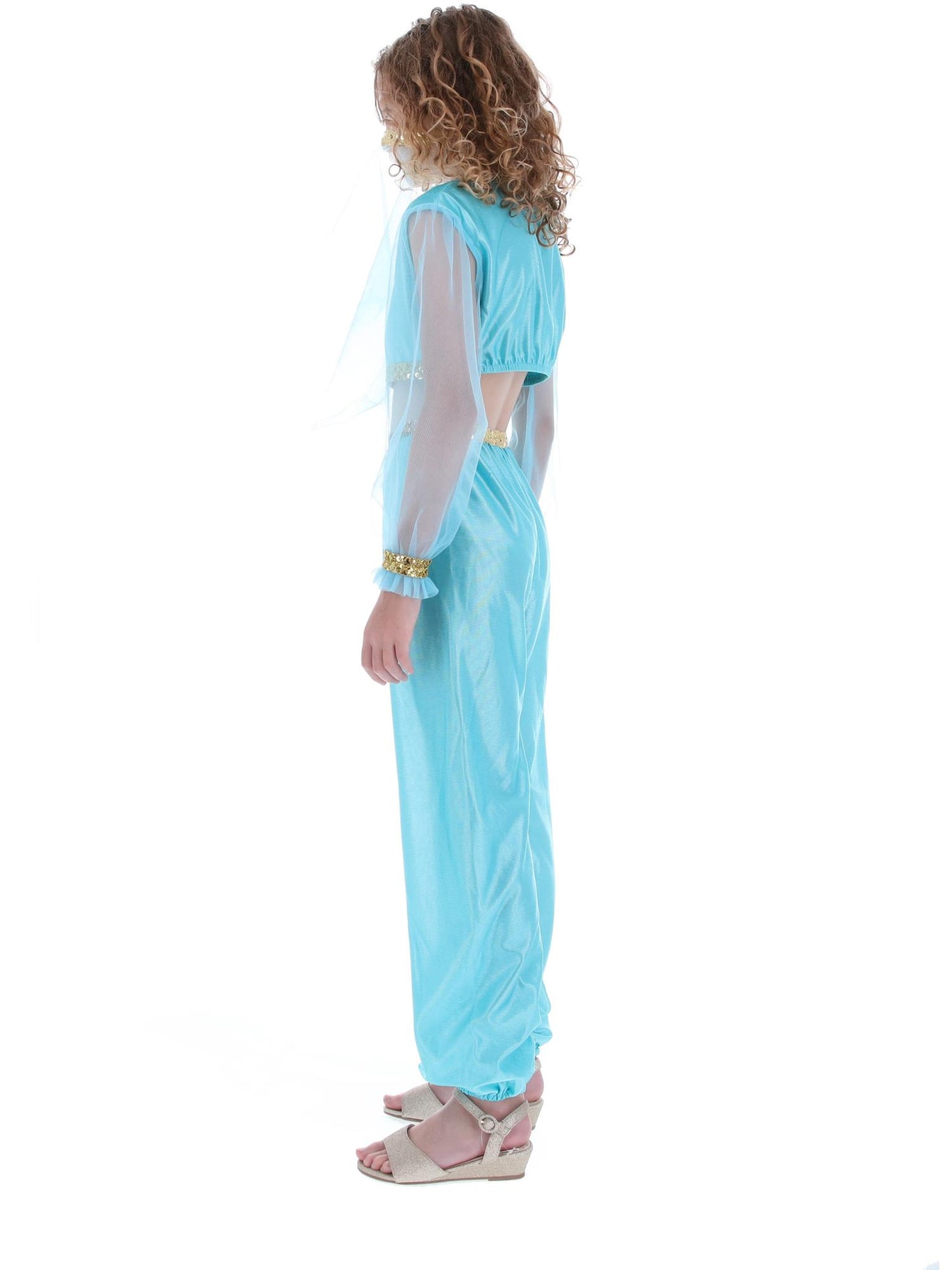 Arabian Princess Costume, Blue  Wholesale