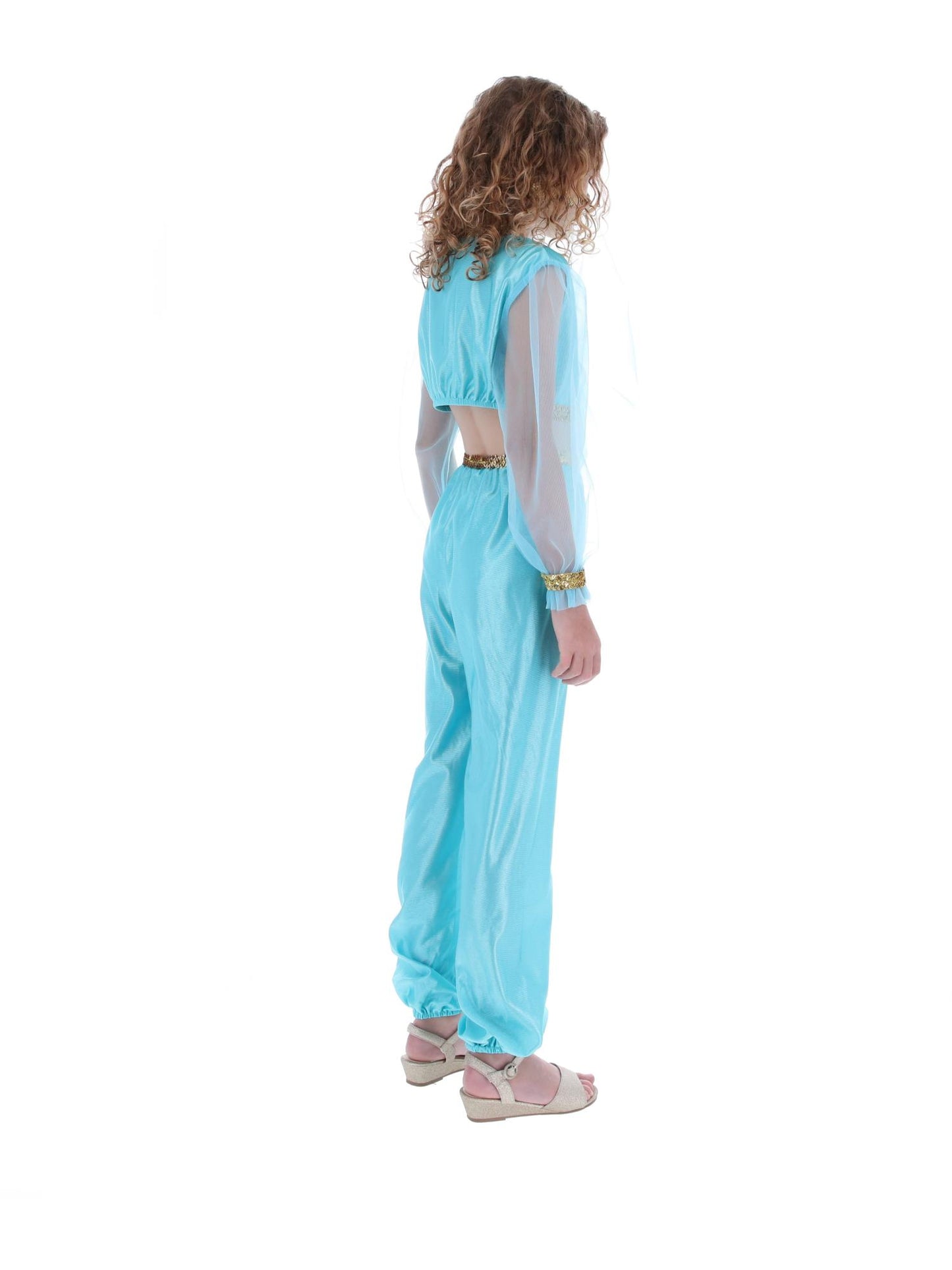 Arabian Princess Costume, Blue  Wholesale