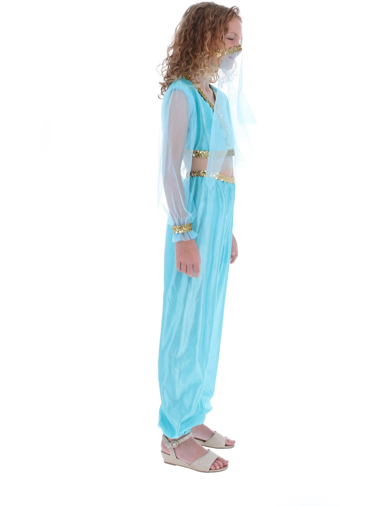 Arabian Princess Costume, Blue  Wholesale