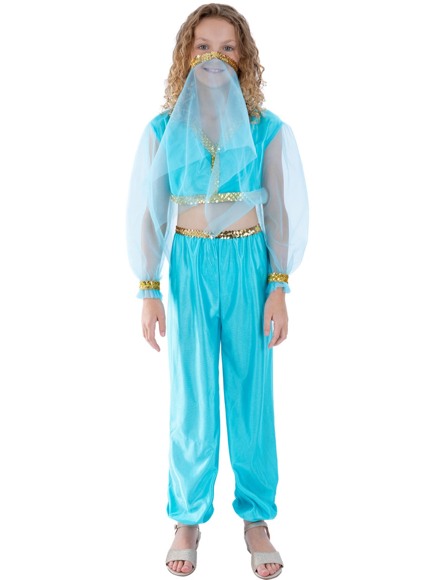 Arabian Princess Costume, Blue  Wholesale