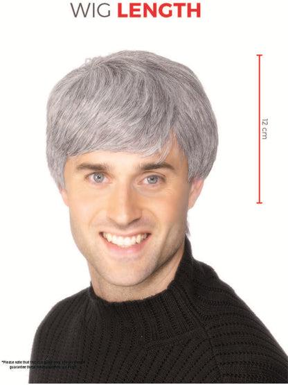 Corporate Wig, Grey  Wholesale
