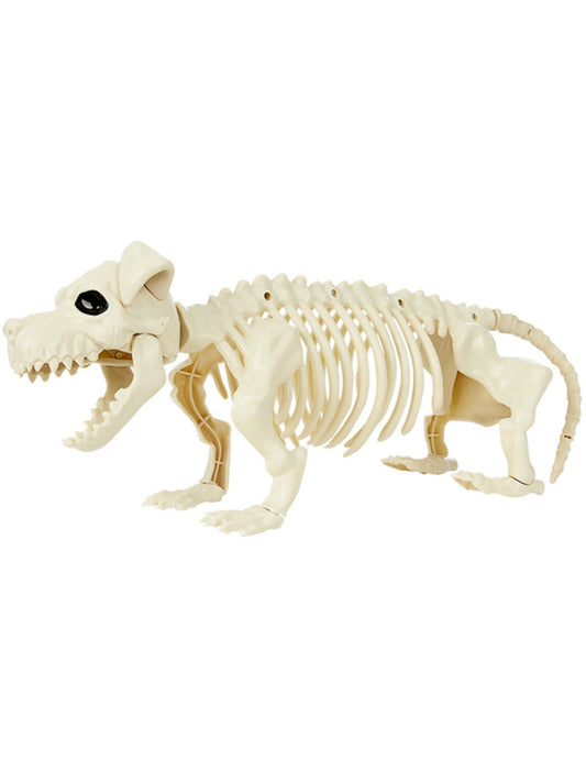 Dog Skeleton Prop Wholesale