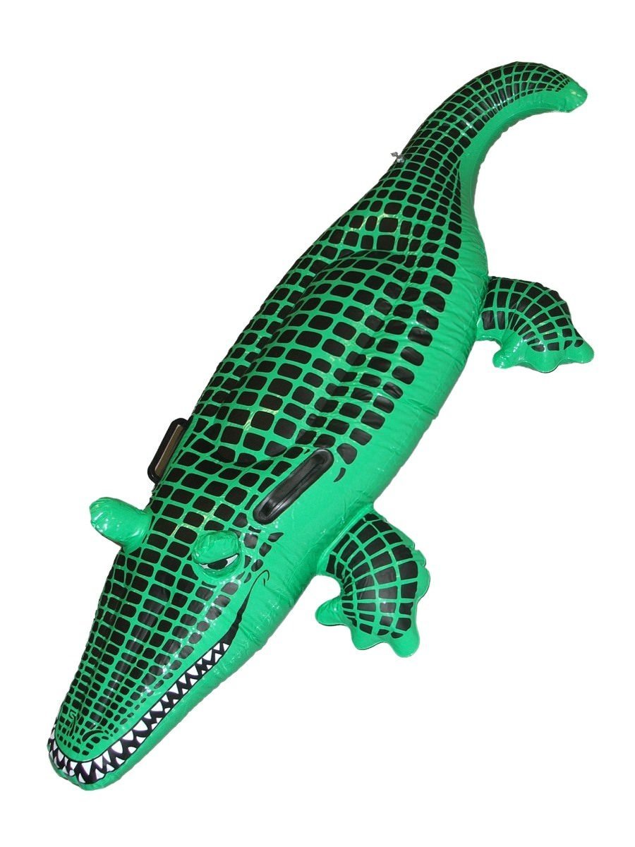 Crocodile Wholesale
