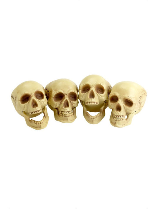 Skull Heads Wholesale