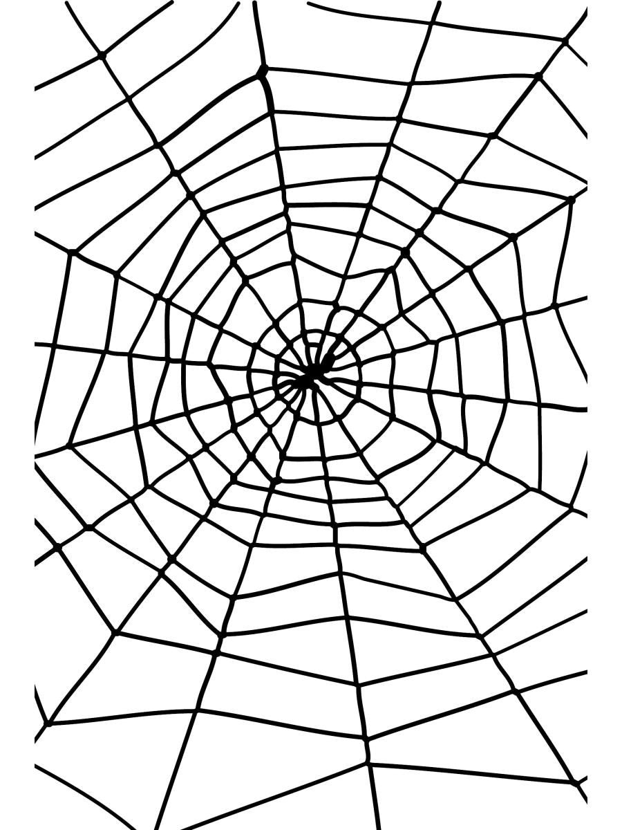 Spider & Spiders Web Wholesale